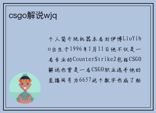 csgo解说wjq
